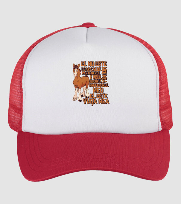 El nu este doar calul meu, e visul meu, partenerul meu, bucuria mea, profesorul meu, el este viața mea model alb/roșu pe tricou