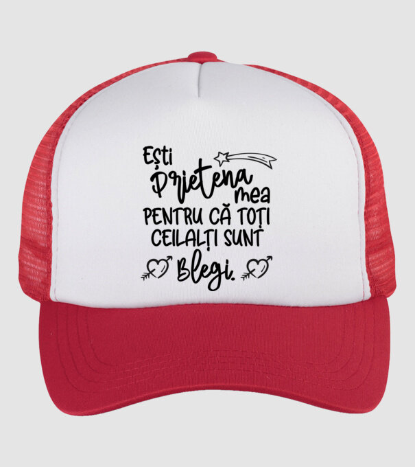 Ești prietena mea, pentru că toți ceilalți sunt blegi model alb/roșu pe tricou