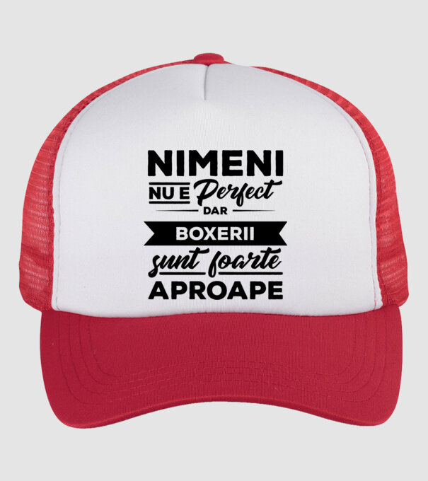 nimeni nu e perfect, dar boxerii sunt foarte aproape model alb/roșu pe tricou