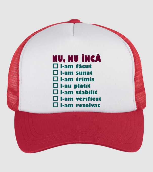 nu, nu încă : l-am făcut - l-am sunat- l-am trimis - l-au plătit - l-am stabilit - l-am verificat - l-am rezolvat model alb/roșu pe tricou