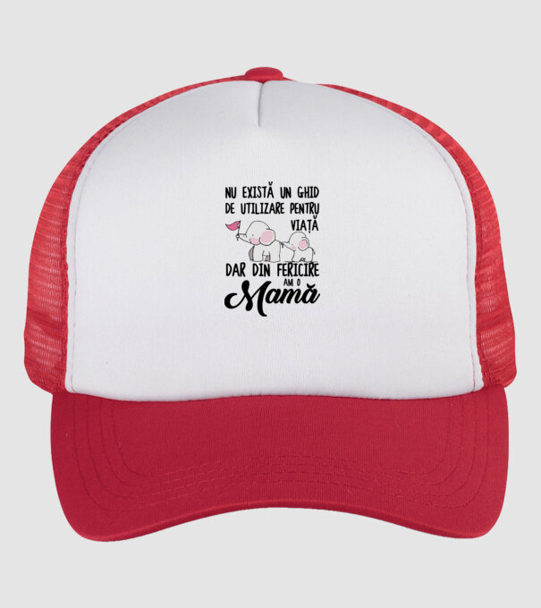 Nu există un ghid de utilizare pentru viață, dar din fericire am o mamă model alb/roșu pe tricou