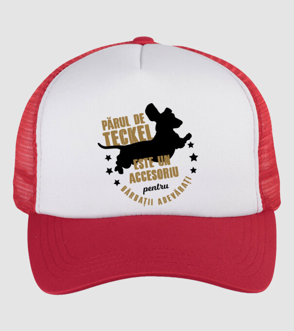 părul de teckel este un accesoriu pentru bărbații adevărați model alb/roșu pe tricou