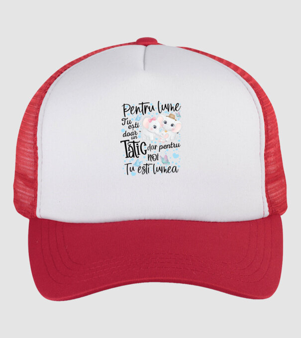 Pentru lume tu ești doar un Tătic dar pentru NOI TU ești lumea model alb/roșu pe tricou
