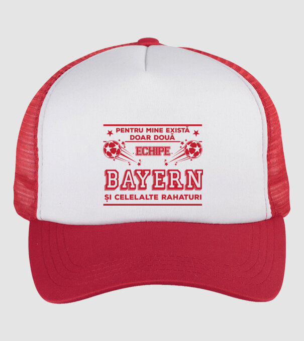 Pentru mine există doar două echipe, Bayern și celelalte rahaturi model alb/roșu pe tricou