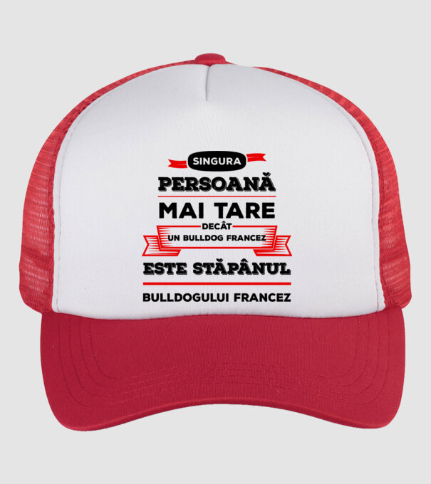 singura persoană mai tare decât un bulldog francez este stăpânul bulldogului francez model alb/roșu pe tricou