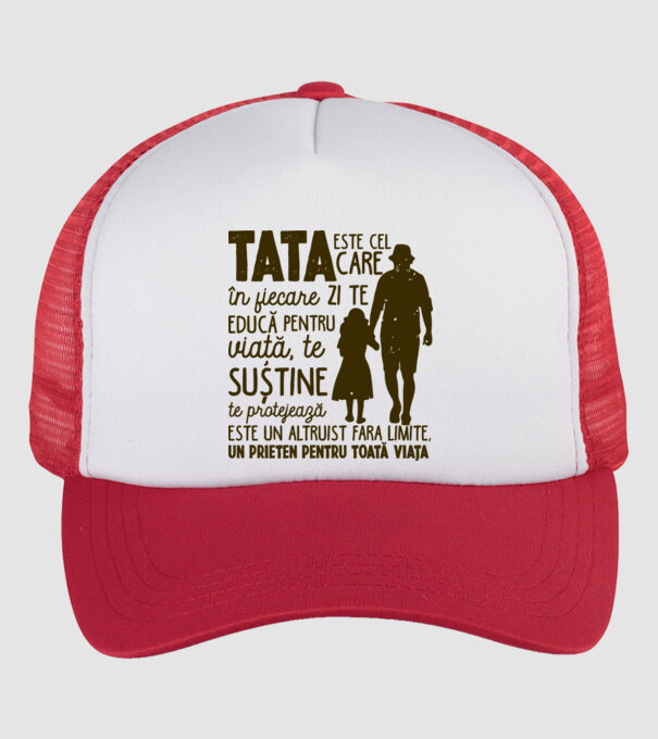 Tata este cel care în fiecare zi te educă pentru viață model alb/roșu pe tricou