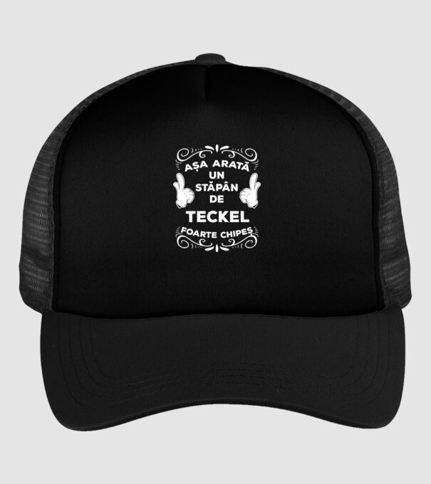 Așa arată un stăpân de Teckel foarte chipeș model negru pe tricou