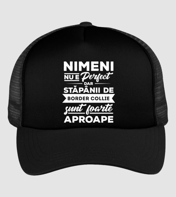 nimeni nu e perfect, dar stăpânii de border collie sunt foarte aproape model negru pe tricou