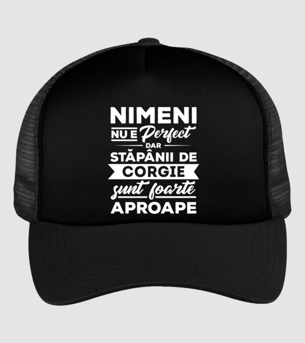 nimeni nu e perfect, dar stăpânii de corgie sunt foarte aproape model negru pe tricou