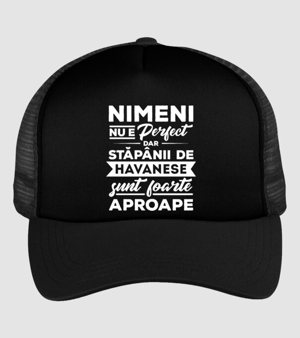 nimeni nu e perfect, dar stăpânii de havanese sunt foarte aproape model negru pe tricou