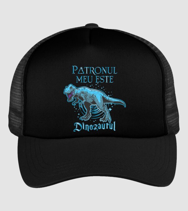 Patronul meu este dinozaurul model negru pe tricou