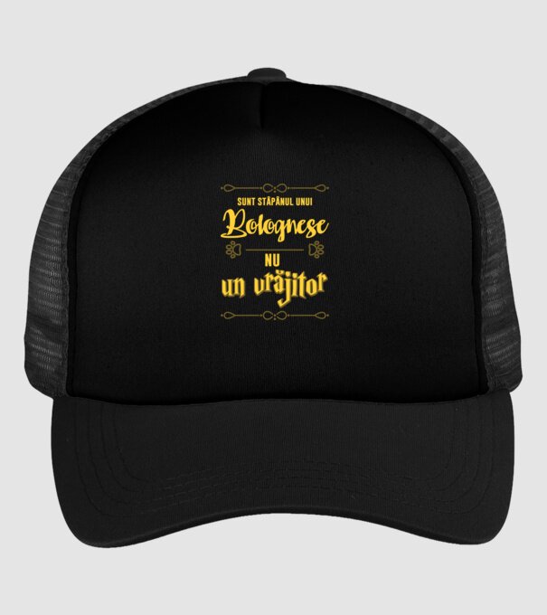 sunt stăpânul unui bolognese, nu un vrăjitor model negru pe tricou