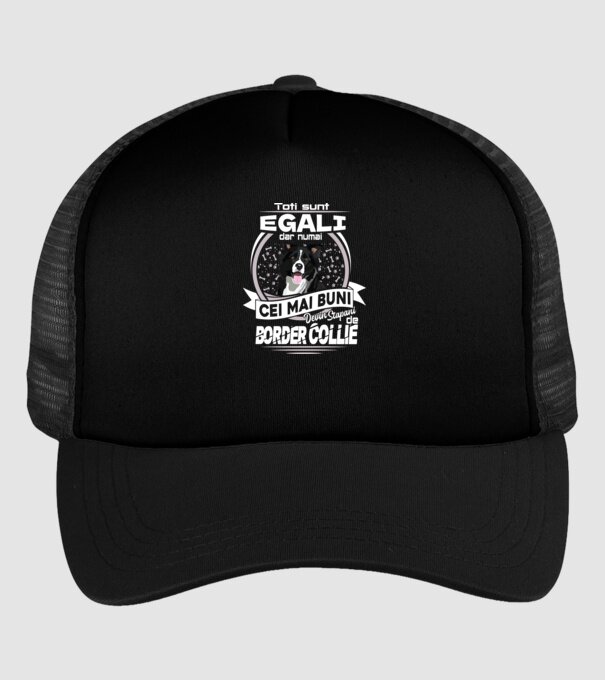 Toți sunt egali, dar numai cei mai buni devin stăpâni de border collie lght model negru pe tricou