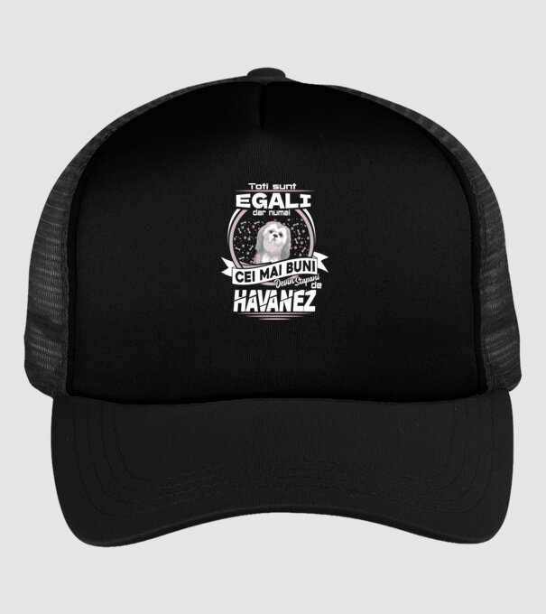 Toți sunt egali, dar numai cei mai buni devin stăpâni de havanez lght model negru pe tricou