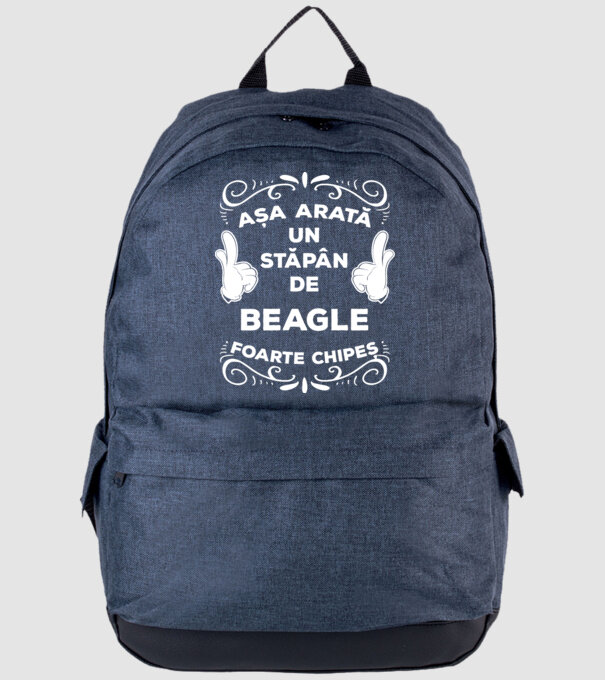 Așa arată un stăpân de Beagle foarte chipeș model albastru jeanși pe tricou