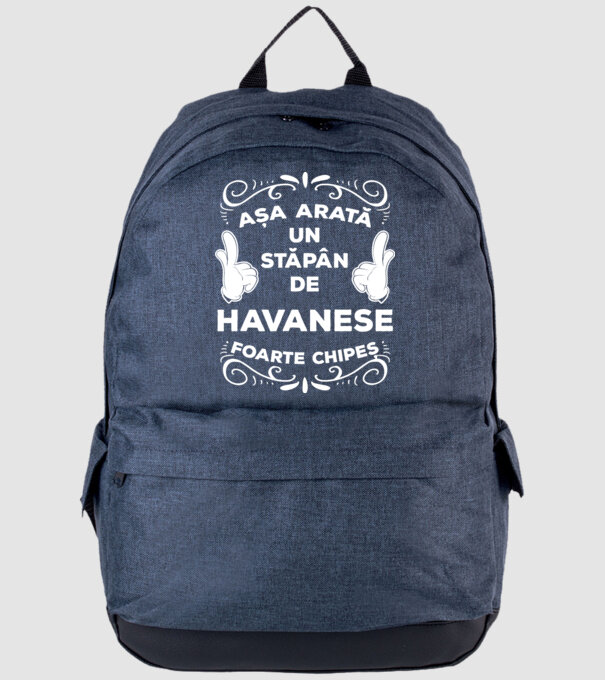Așa arată un stăpân de Havanese foarte chipeș model albastru jeanși pe tricou