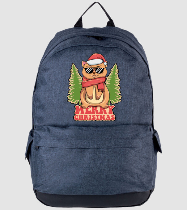 Merry christmas cat model albastru jeanși pe tricou