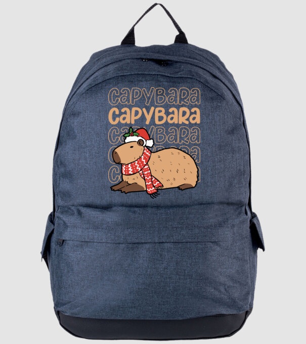 Xmas Cappy model albastru jeanși pe tricou