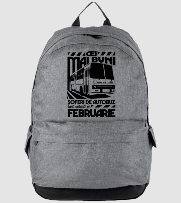 Cei mai buni șoferi de autobuz sunt născuți în Februarie model gri pe tricou
