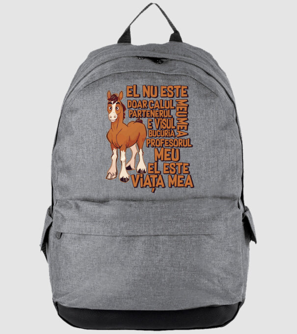 El nu este doar calul meu, e visul meu, partenerul meu, bucuria mea, profesorul meu, el este viața mea model gri pe tricou