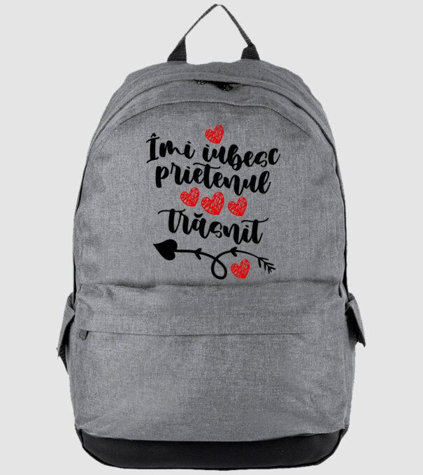 Îmi iubesc prietenul trăsnit model gri pe tricou