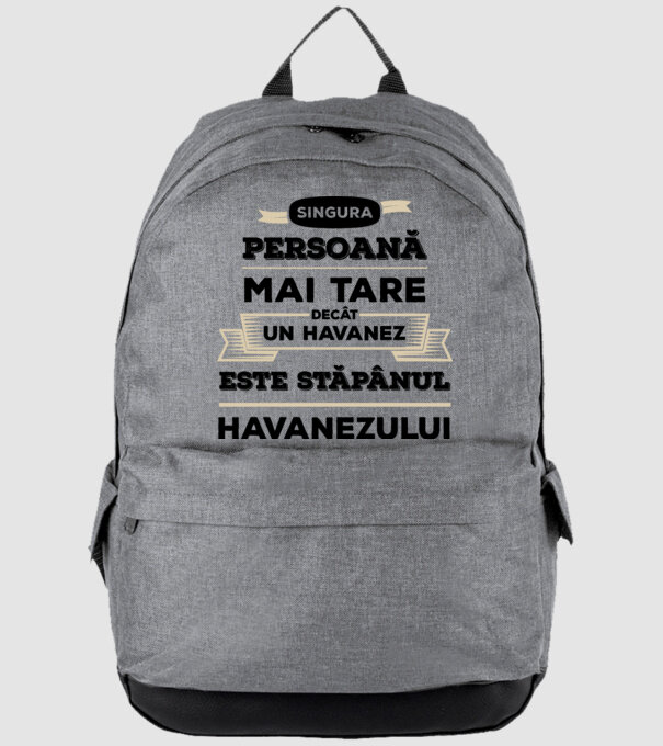 singura persoană mai tare decât un Havanez este stăpânul Havanezului model gri pe tricou