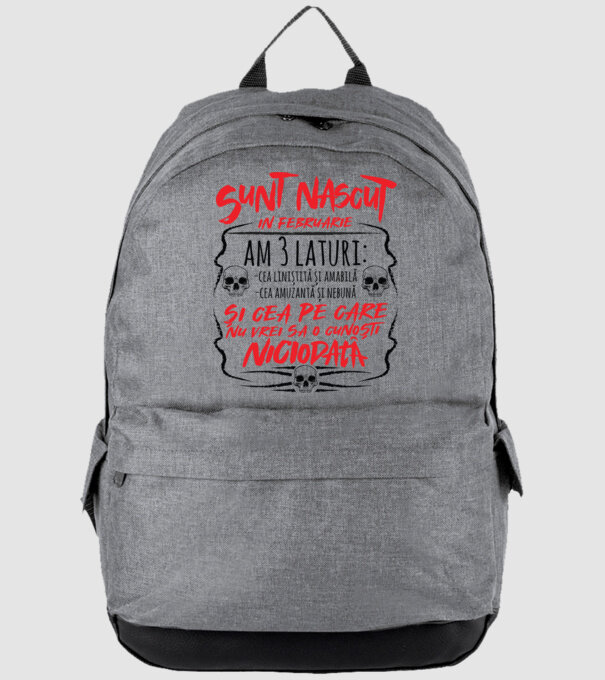 Sunt născut în februarie, am 3 laturi model gri pe tricou