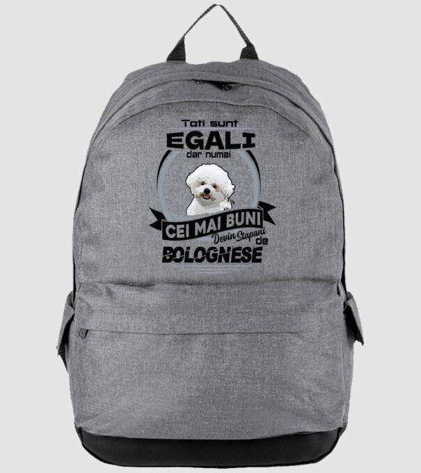 Toți sunt egali, dar numai cei mai buni devin stăpâni de bolognese model gri pe tricou