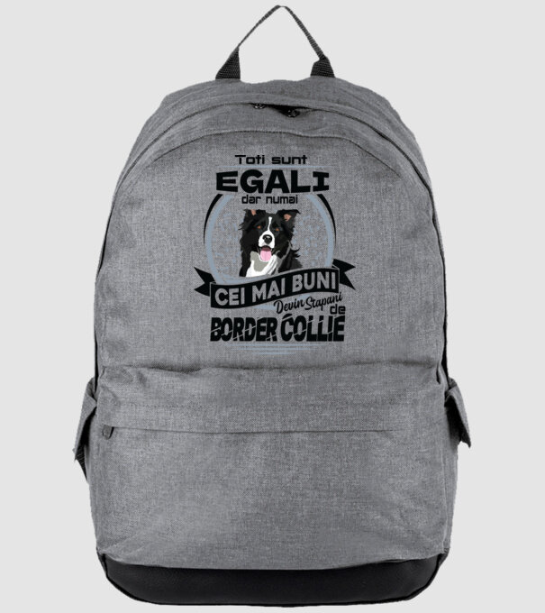 Toți sunt egali, dar numai cei mai buni devin stăpâni de border collie model gri pe tricou
