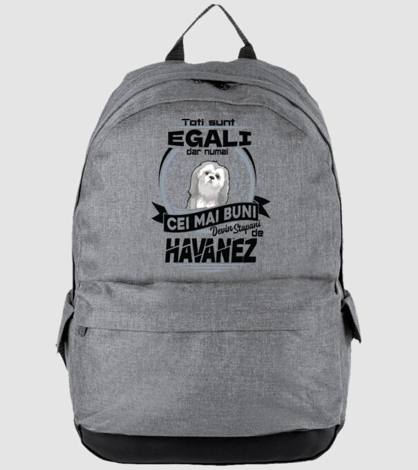 Toți sunt egali, dar numai cei mai buni devin stăpâni de havanez model gri pe tricou