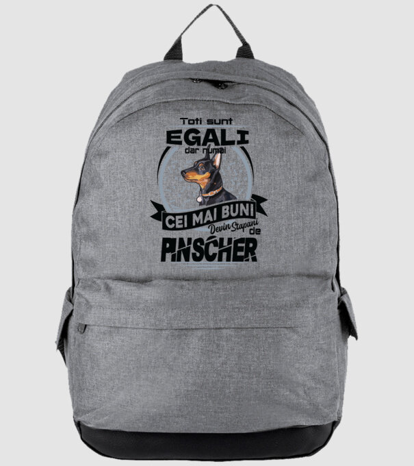 Toți sunt egali, dar numai cei mai buni devin stăpâni de pinscher model gri pe tricou