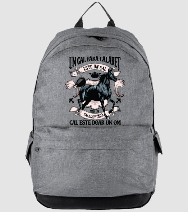 un cal fără călăreț este un cal - dar un călăreț fără cal este doar un om model gri pe tricou