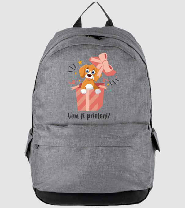 Vom fi prieteni? model gri pe tricou
