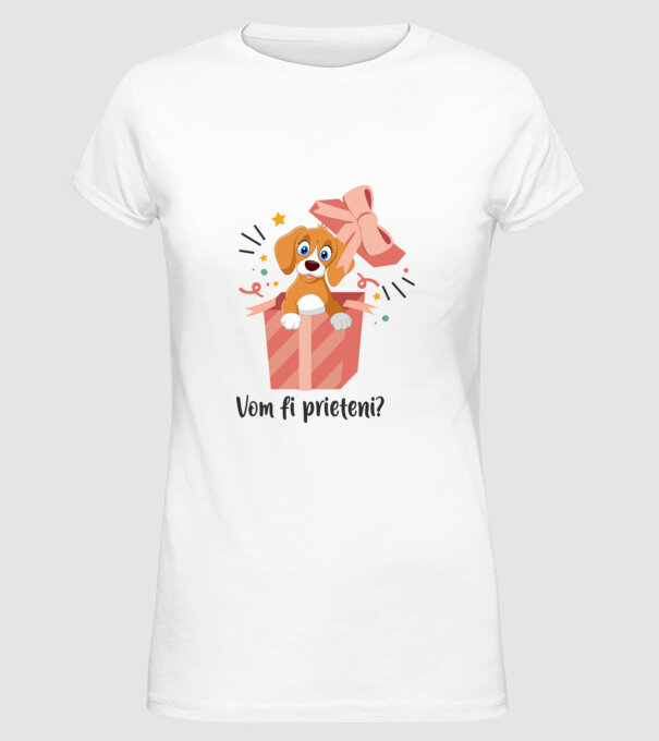 Vom fi prieteni? model alb pe tricou