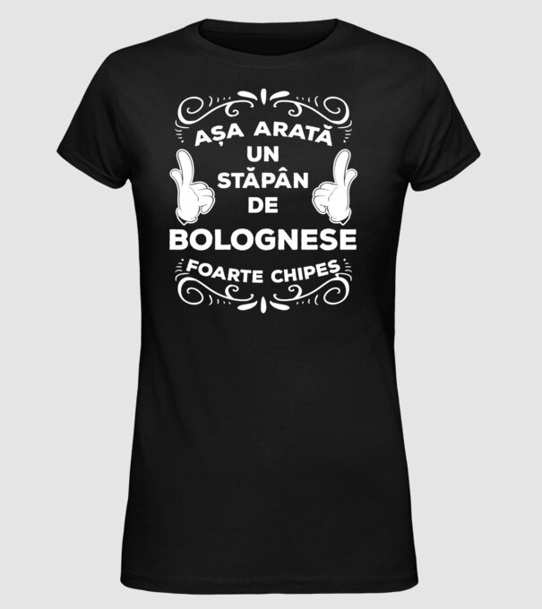 Așa arată un stăpân de Bolognese foarte chipeș model negru pe tricou