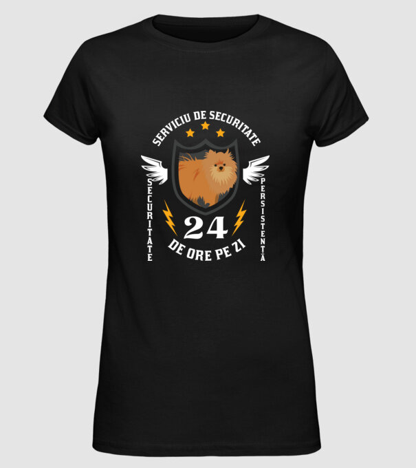 serviciu de securitate - securitate - persistență - 24 de ore pe zi model negru pe tricou