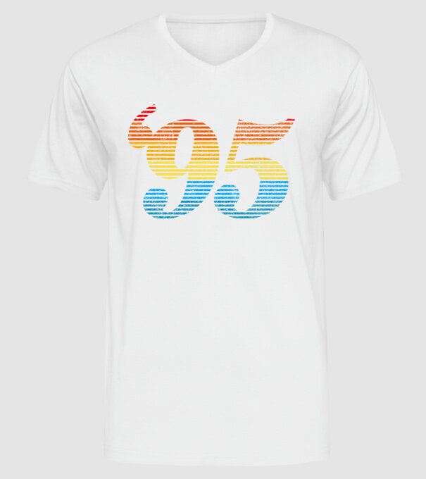 Retro Birthday 1995 model alb pe tricou