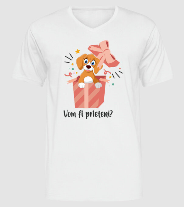 Vom fi prieteni? model alb pe tricou
