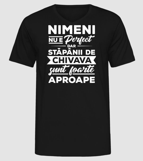 nimeni nu e perfect, dar stăpânii de chivava sunt foarte aproape model negru pe tricou