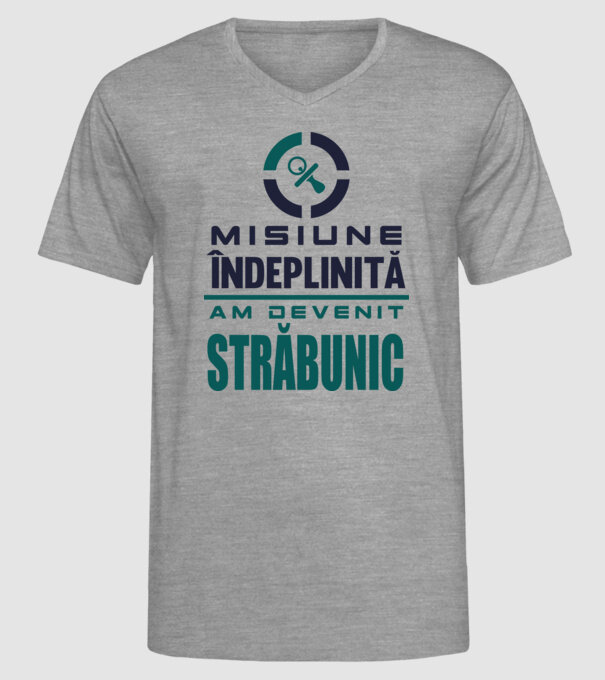 misiune îndeplinită - am devenit străbunic model gri pe tricou