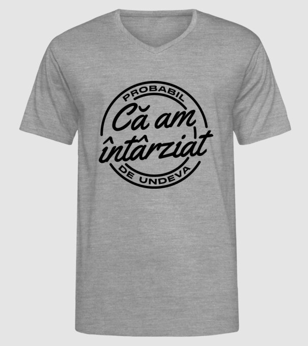 Probabil că am întârziat de undeva model gri pe tricou