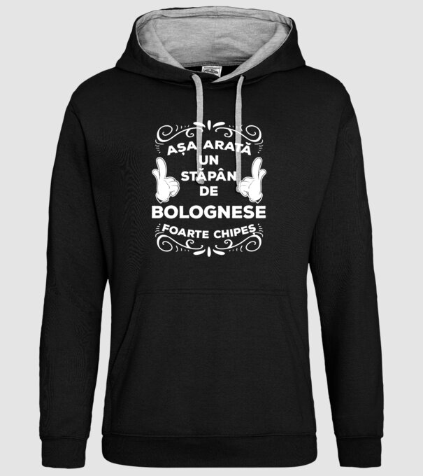 Așa arată un stăpân de Bolognese foarte chipeș model negru pe tricou