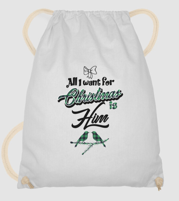 All i want for Christmas is Him model alb pe tricou