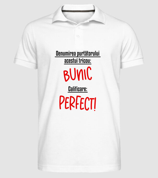 Denumirea purtătorului acestui tricou: bunic! Calificare: Perfect! model alb pe tricou