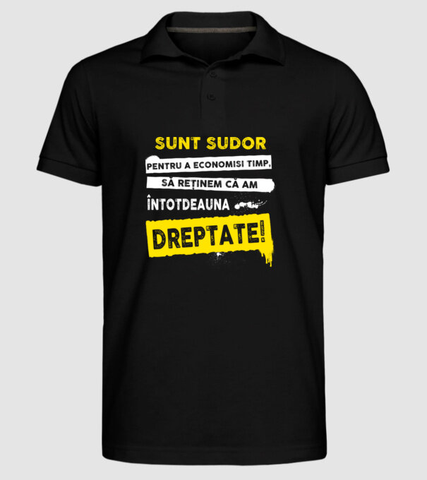 Sunt sudor, pentru a economisi timp, să reținem că am întotdeauna dreptate! model negru pe tricou