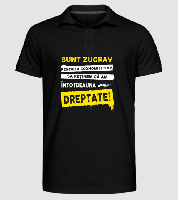 Sunt zugrav, pentru a economisi timp, să reținem că am întotdeauna dreptate! model negru pe tricou