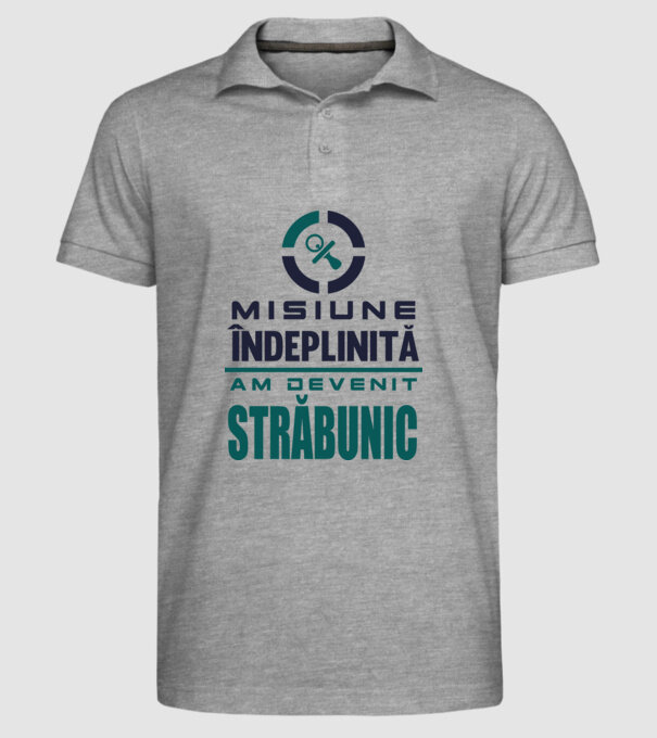 misiune îndeplinită - am devenit străbunic model gri pe tricou