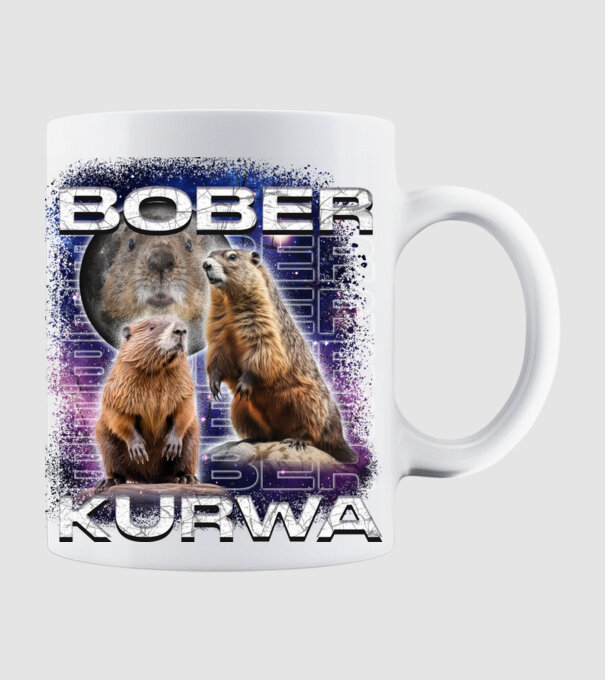 Bóber Kurwa universe model alb pe tricou