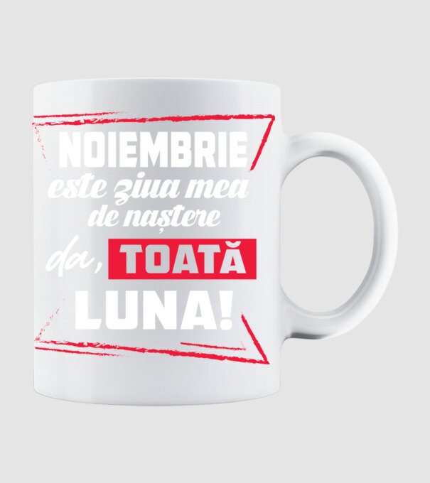 Toată luna NOIEMBRIE model alb pe tricou