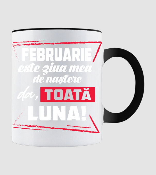 Toată luna FEBRUARIE model negru pe tricou